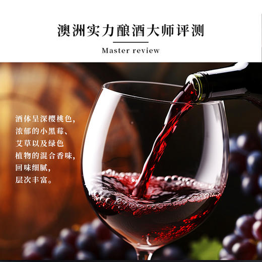 澳大利亚进口袋鼠公主西拉干红葡萄酒5L 商品图2