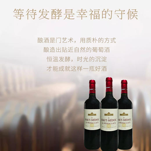 【1855列级名庄⁵】
法国进口百德诗歌上梅多克2013红葡萄酒750mi 商品图3