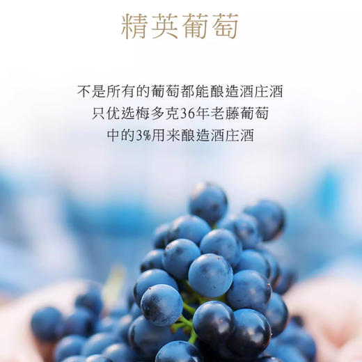 【1855列级名庄⁵】
法国进口百德诗歌上梅多克2013红葡萄酒750mi 商品图1