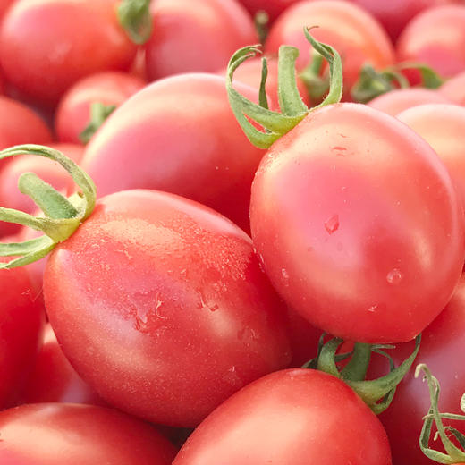 【日配鲜食】海南高糖喜柿礼盒 净重约2斤 满满维C（1.7日起到店通知提配） 商品图1