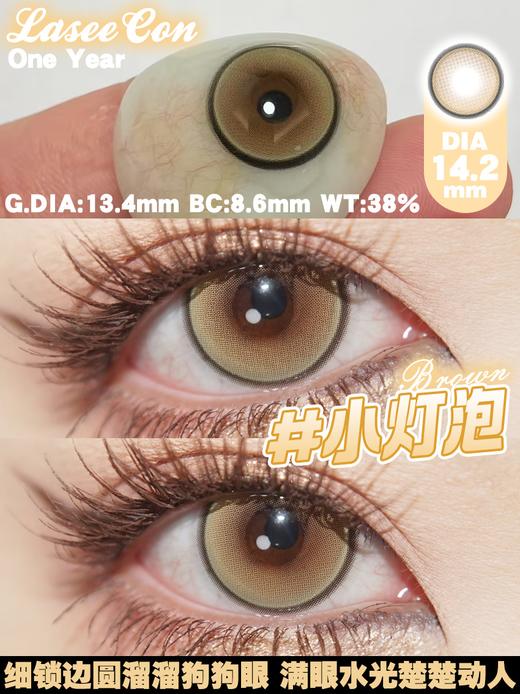 Laseecon年抛·小灯泡·14.2mm中等着色·韩产2片 商品图3