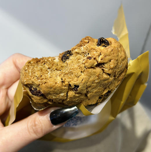 燕麦曲奇（燕麦 葡萄干）每块单独包装 商品图0