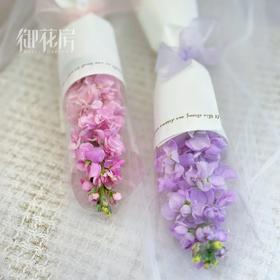 单支花礼（紫罗兰/康乃馨）10份起购