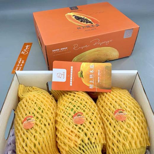 海南·树上熟「木瓜」 整件3~4个 约2.8kg 商品图8