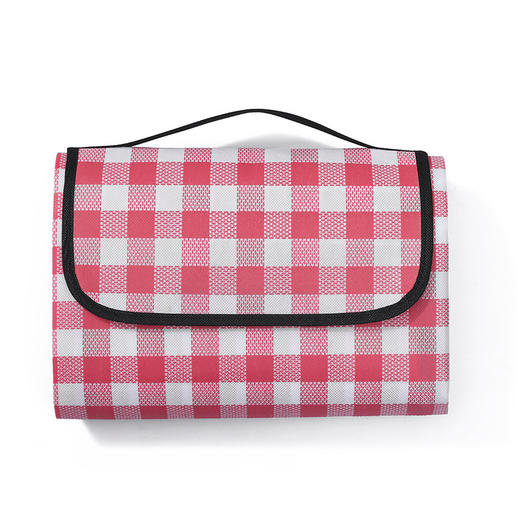 户外出游用品【野餐垫防潮垫加厚野餐布】便携防水 野炊郊游帐篷垫露营垫子 五一出游劳动节出游 商品图5