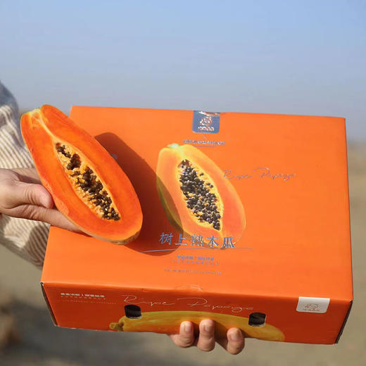 海南·树上熟「木瓜」 整件3~4个 约2.8kg 商品图3