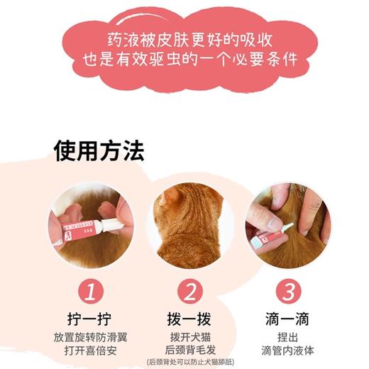 喜倍安海正动保猫咪体外驱虫滴剂成幼猫宠物去蜱虫跳蚤 商品图4