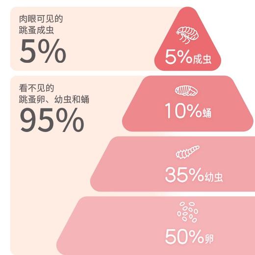 喜倍安海正动保猫咪体外驱虫滴剂成幼猫宠物去蜱虫跳蚤 商品图2