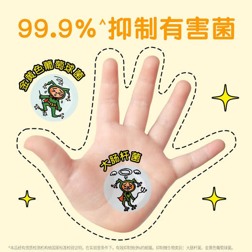 日本LION狮王趣净泡沫抑菌洗手液纯净爽肤香/天然柠檬香250ml 绵密泡沫温和易净 117835/117836 商品图2