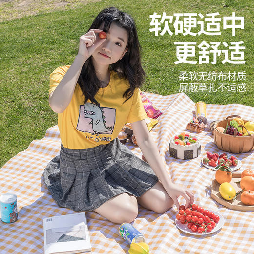 户外出游用品【野餐垫防潮垫加厚野餐布】便携防水 野炊郊游帐篷垫露营垫子 五一出游劳动节出游 商品图1