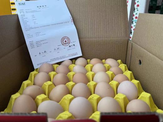 黑金鸡蛋 商品图10