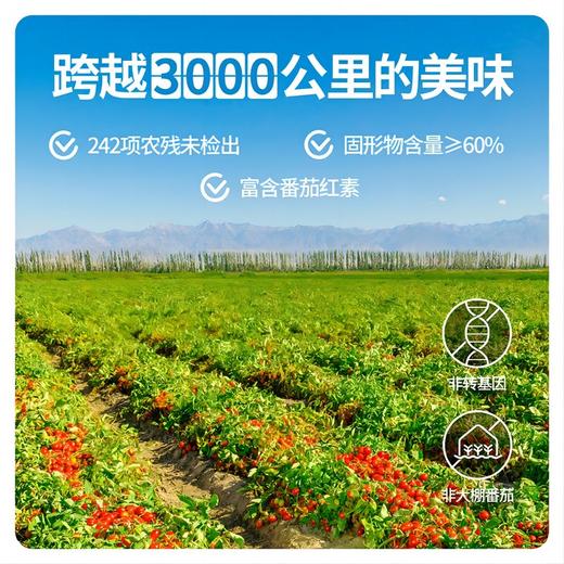 【新疆切块番茄】新疆高品质罐装番茄 洗净去皮切块 让美味告别繁琐！（2.13-2.24停发） 商品图3