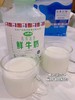 青海湖牛奶500ML 商品缩略图3