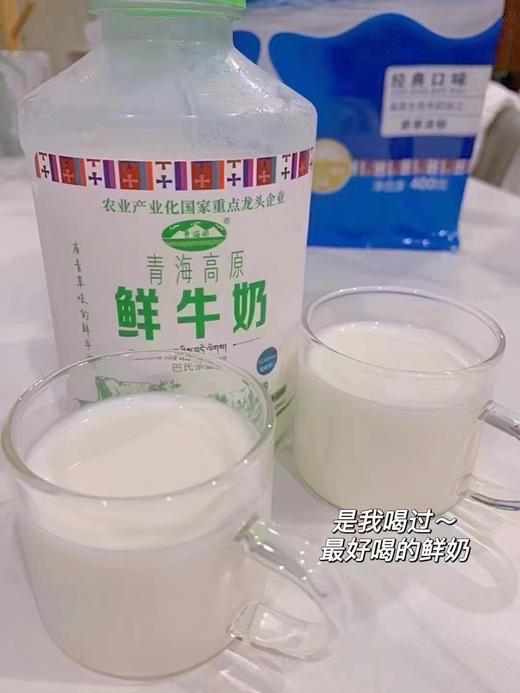 青海湖牛奶500ML 商品图3