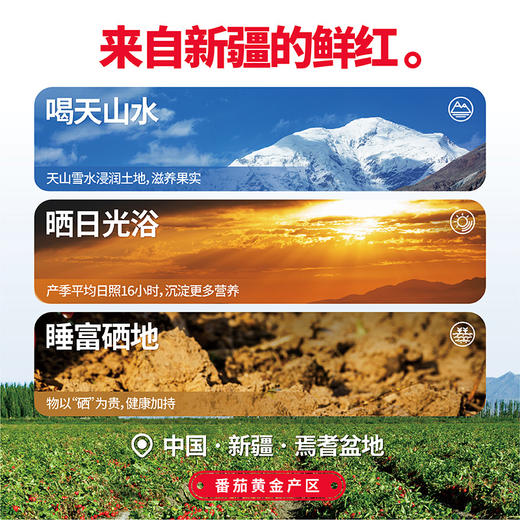 【新疆切块番茄】新疆高品质罐装番茄 洗净去皮切块 让美味告别繁琐！（2.13-2.24停发） 商品图4