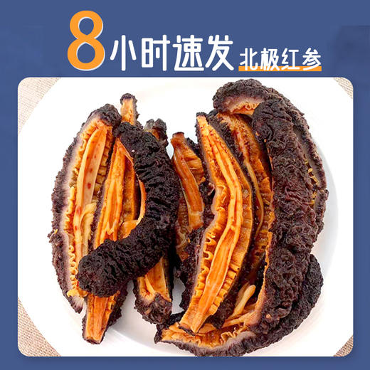 一价到底 【冰岛野生 北极红参 干参礼盒】纯净海域远离污染，高倍泡发，8小时速发！  商品图1