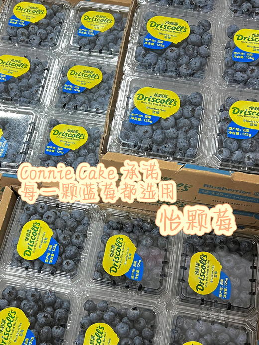 蓝莓酸奶 商品图4