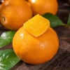 【云南沃柑】酸甜多汁 皮薄肉厚 肉质细腻 水分充足 清香四溢 给你一口爆汁的诱惑 4种规格任选 商品缩略图7