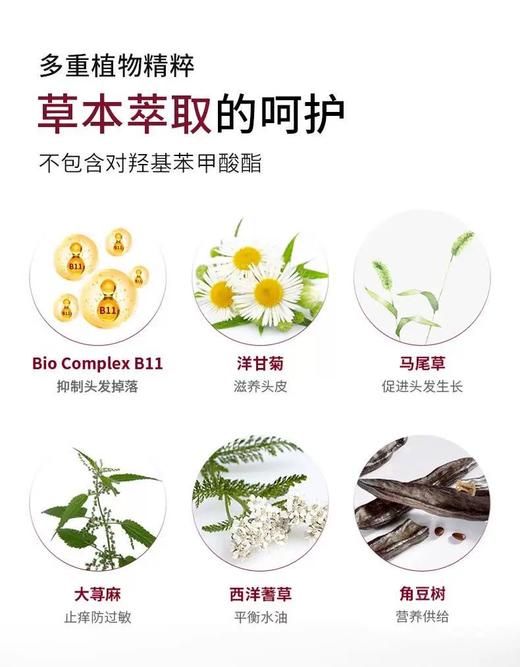 【门店直发】土耳其Bioxcin柏科生八倍固发洗发水养发强韧发根控油止痒去屑300ml 商品图6