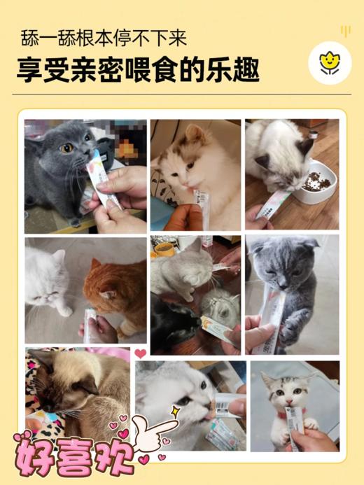 【金多乐金选】主食猫条15g*100支/每日尊荣85%肉含量猫条/山药鱼油主食猫条/ 商品图4