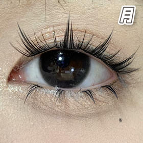 #First Love Black 国民初恋 黑灰色【1片装】舒适推荐 / 进口月抛**