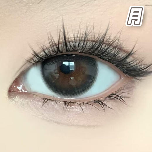 #First Love Black 国民初恋 黑灰色【1片装】舒适推荐 / 进口月抛** 商品图2