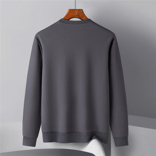 【桑蚕丝混纺】罗蒙春秋男装胸花绣花卫衣男士休闲百搭卫衣长袖圆领T恤上衣男 商品图3