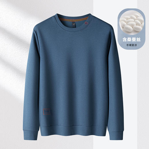 【桑蚕丝混纺 多色】罗蒙春秋男装时尚卫衣男士布标绣花卫衣时尚休闲圆领长袖T恤男 商品图4