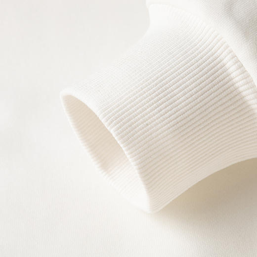 【桑蚕丝混纺 多色】罗蒙春秋男装时尚卫衣男士布标绣花卫衣时尚休闲圆领长袖T恤男 商品图10