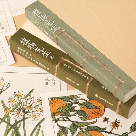 袁明华《植物先生：二十四节气植物研学课》 商品图2