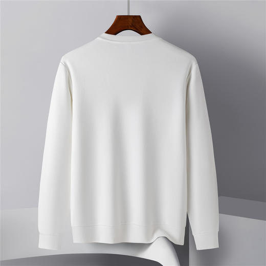 【桑蚕丝混纺】罗蒙春秋男装精美印花卫衣男士休闲百搭卫衣时尚圆领长袖T恤上衣男 商品图6