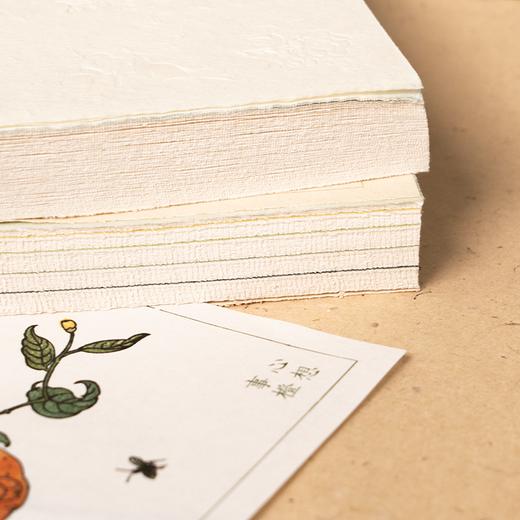 袁明华《植物先生：二十四节气植物研学课》 商品图3