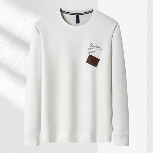 【肌理提花】罗蒙春季男装卫衣贴布字母印花卫衣男士舒适休闲百搭圆领长袖t恤男 商品图3