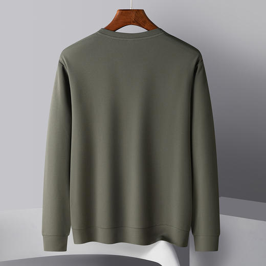 罗蒙春秋男装卫衣时尚绣花卫衣男士休闲百搭圆领长袖T恤男 商品图1