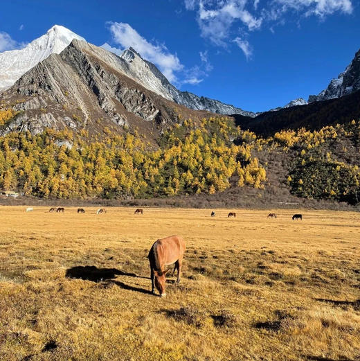 【拼包车自由行 | 2-8人小团 | 稻城亚丁六日游直通车】勇敢的人先享受世界，和圣地稻城装个满怀 商品图3