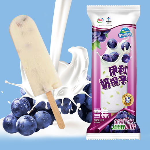 伊利奶提子香浓牛奶味蜜渍葡萄干雪糕65克/支雪糕冰糕批发 商品图0