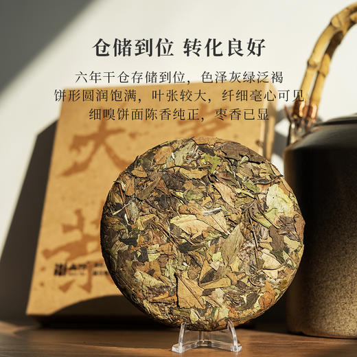 「北路白茶」春秋大叶 福鼎白茶寿眉饼茶2018年六年陈老白茶200g 商品图1