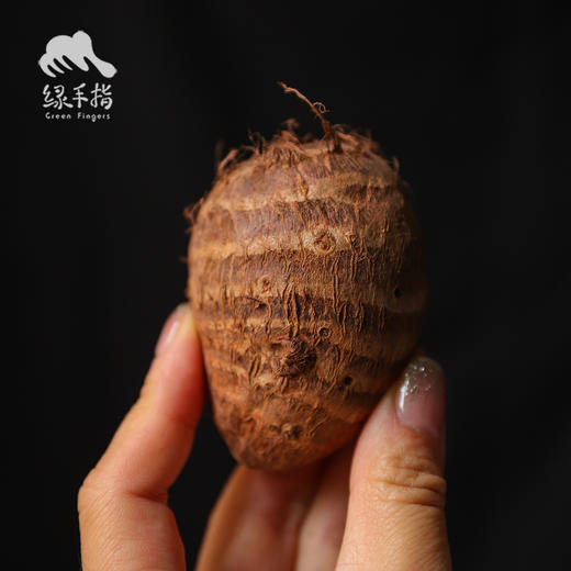 生态鸡蛋小芋头 （中通快递，限时活动：买4斤送2斤）| 合作生产 *Ecological taro |Partner Production 商品图1