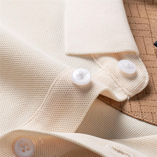 【高周波胸标】罗蒙春秋款男士仿丝光polo衫男商务男士polo衫T恤男 商品图6