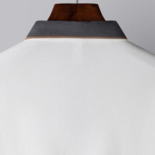 【双面含桑蚕丝】罗蒙男士绣花polo衫男长袖t恤男春秋男士polo衫 商品图5