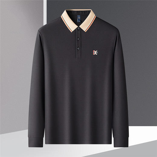 【绣花胸标】罗蒙春秋男士仿丝光polo衫男长袖t恤男商务男士polo衫 商品图2