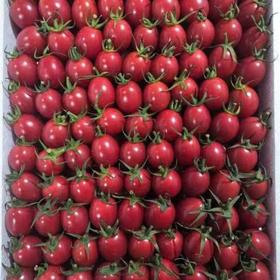 千禧番茄礼盒装 1kg/箱