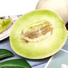 新鲜水果 果香四溢玉菇甜瓜 1枚（单枚2.8~3.3斤左右） 商品缩略图1