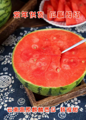 【云南麒麟西瓜】云南美都脆甜瓜 应当季新鲜水果现摘手剥西瓜