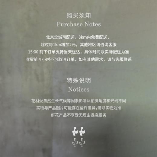 时间漫游 Temporal Wander 商品图3