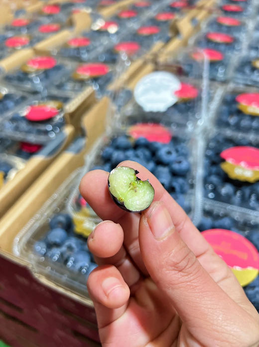 稼沃蓝莓🫐雪山甜蓝莓，好山好水 种出来的东西也是好的送礼，追求高品质，强烈推荐[强] 商品图12
