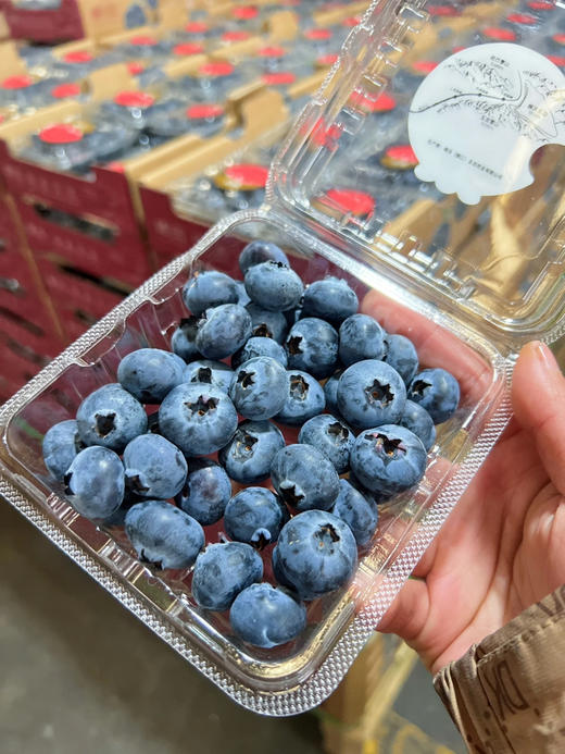 稼沃蓝莓🫐雪山甜蓝莓，好山好水 种出来的东西也是好的送礼，追求高品质，强烈推荐[强] 商品图9