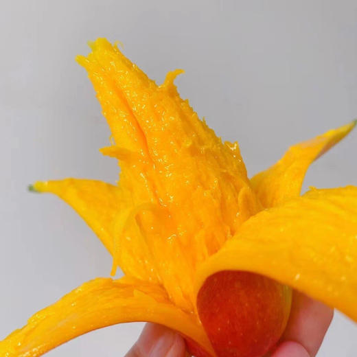 海南空运树熟辣椒芒🥭，贵妃芒中的限量款，外形酷似辣椒，核如牙签，一口下去全是肉，比贵妃芒更惊艳，产量极低⚠️ 商品图1