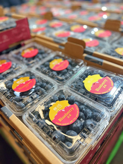 稼沃蓝莓🫐雪山甜蓝莓，好山好水 种出来的东西也是好的送礼，追求高品质，强烈推荐[强] 商品图11