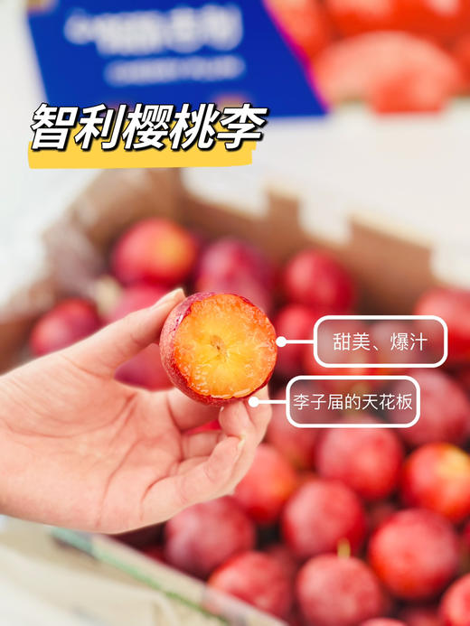 智利樱桃李，珍贵品种，每年季节超短，且货源稀缺，十分抢手，它是传统李子和樱桃的结合，既拥有浓郁的李子味，又拥有樱桃多汁，超级好吃！ 商品图2